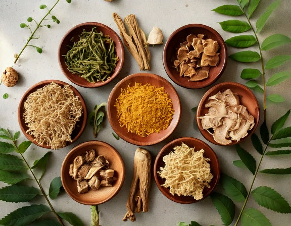 Nourish Your Mind